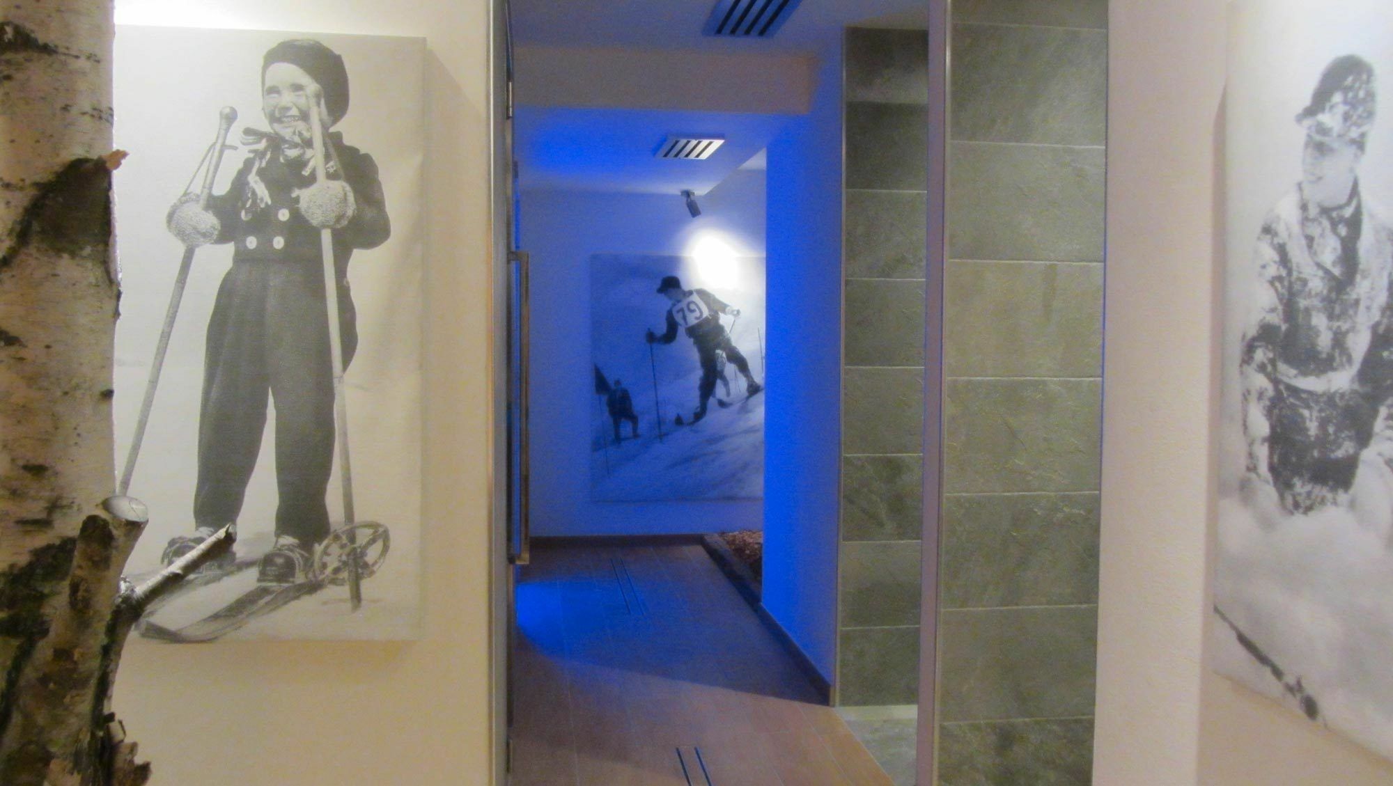 Vites Mountain 4* Canazei